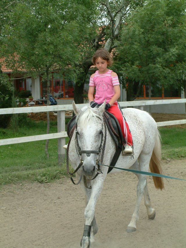 lovastbor1.jpg